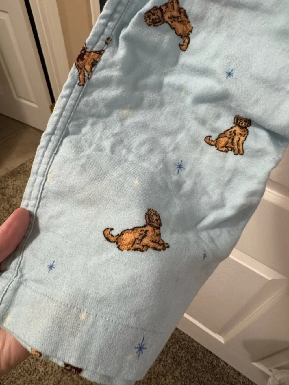 J. Crew Pale Blue Goldendoodle Lounge Pants - Picture 3 of 6